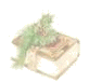 ¡°»éÒö¸¨µ¼¡±À¸²Ø×ÅÐí¶àºÃÊéÄØ£¡